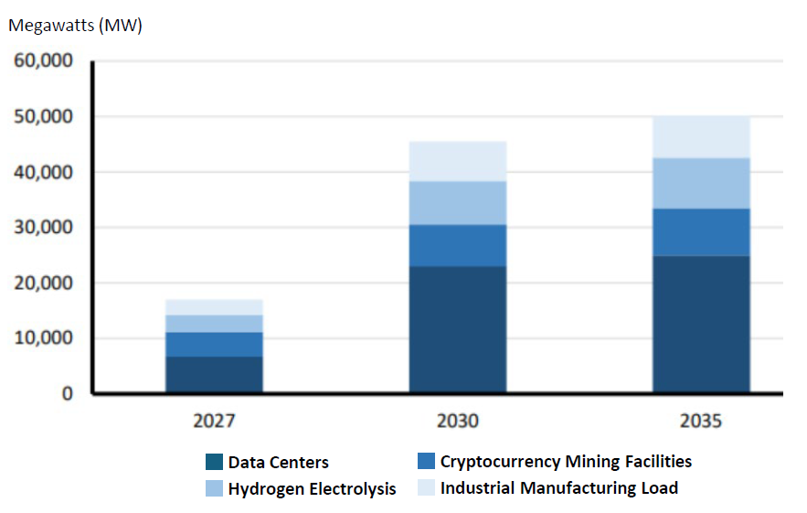Large-Load Projection Breakdown in ERCOT