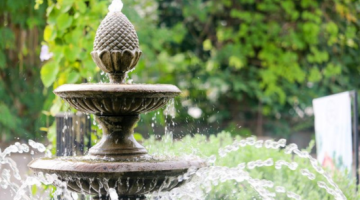 Equity Beat: In Search of the Fountain of Youth 