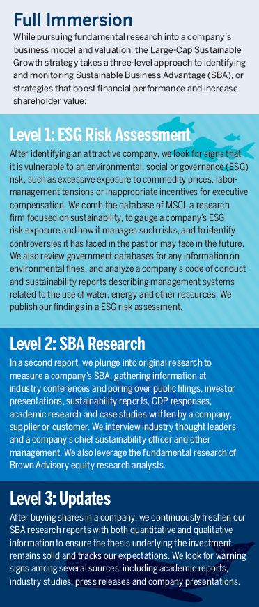 While pursuing fundamental research into a company’s business model and valuation, the Large-Cap Sustainable Growthstrategy takes a three-level approach to identifying and monitoring Environmental Business Advantage (EBA), or strategies thatboost financial performance and increase shareholder value.